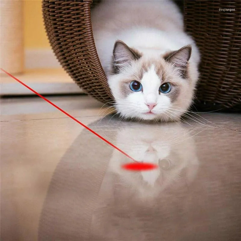 Unleashing the Fun: The Benefits of Cats Playing with Laser Toys