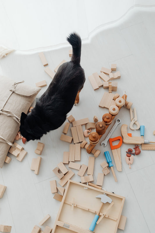 Pawsing the Stress: Canine Separation Anxiety and the Power of Puzzle Toys