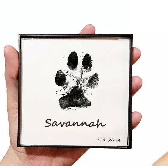 Paw Print Kit