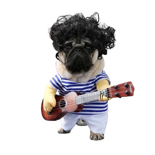 Luxury Retro Rockstar Pet Costume