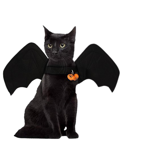 Halloween Bat Wings Costume for Pets in action