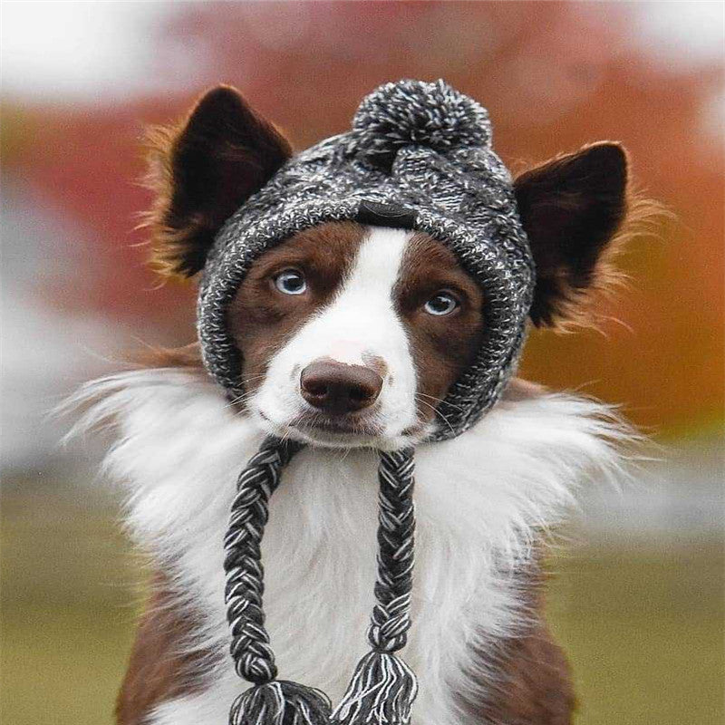 Adorable Winter Beanies- new