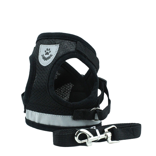 Adjustable-Reflective-Dog-Harness-in-action-during-night-walk