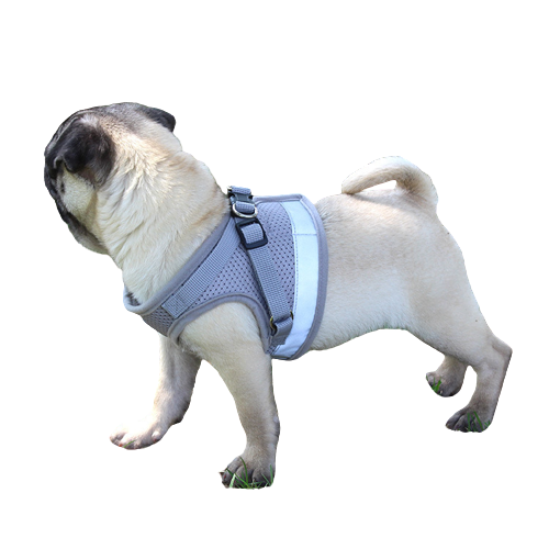 Durable Outdoor Dog Traction Harness detail view