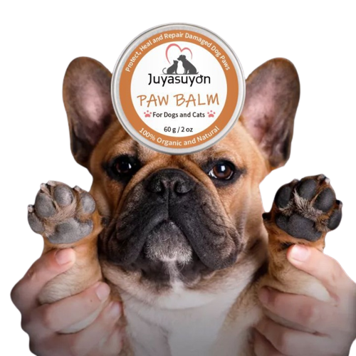Dog Applying Natural Paw Protector Balm on Cracked Paws