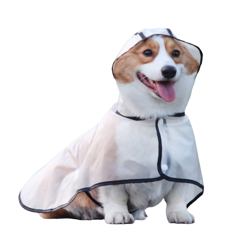 Transparent Waterproof Dog Raincoat- new