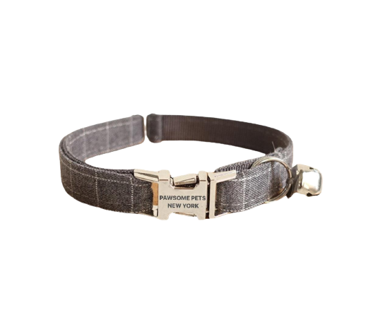 Dog wearing misty grey collar Cat with adjustable nylon collar