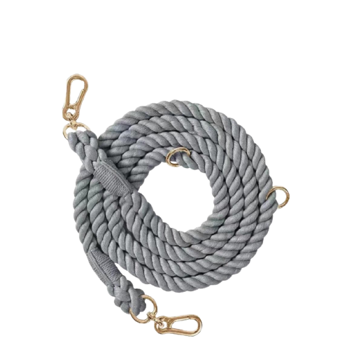 Dog wearing hands-free leash Adjustable rope leash design Cotton rope texture Dog leash in natural setting