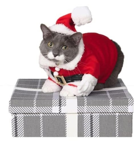 Small Pet Santa Costume