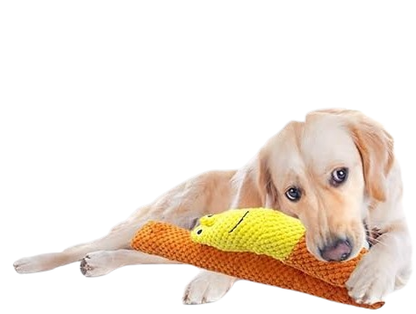 Durable plush fabric dog toy with squeaky sound feature.