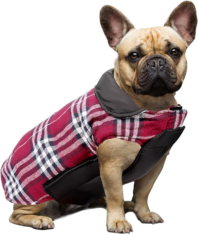 Luxury Reversible Scottish Tartan Print Dog Coat