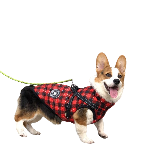 Durable Waterproof Dog Coat with Built-in Harness - Snowflake