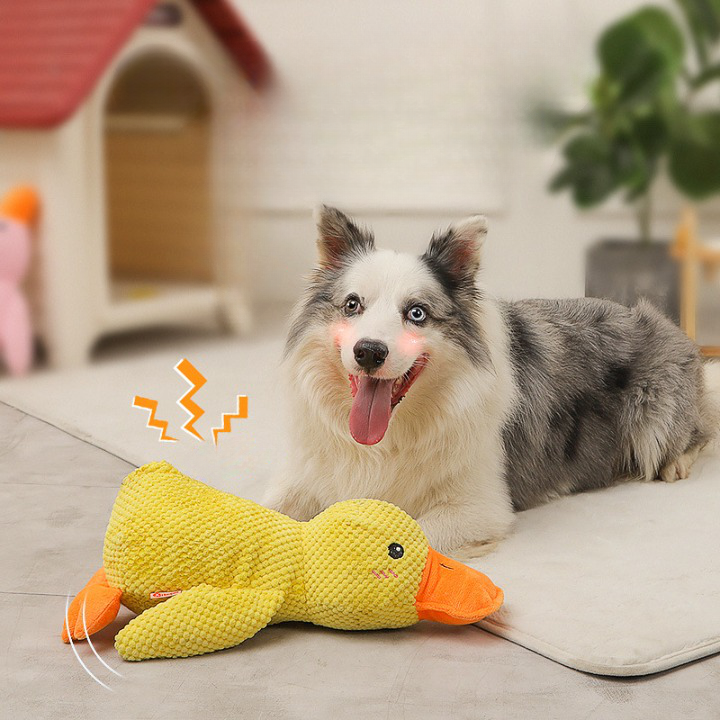 Chew Resistant Duck Plush Toy