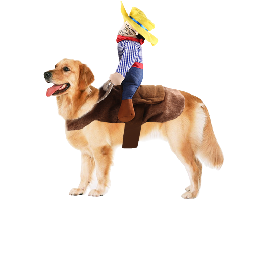 Dog wearing Cowboy Rodeo Costume