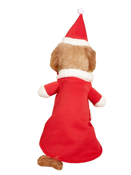 Small Pet Santa Costume