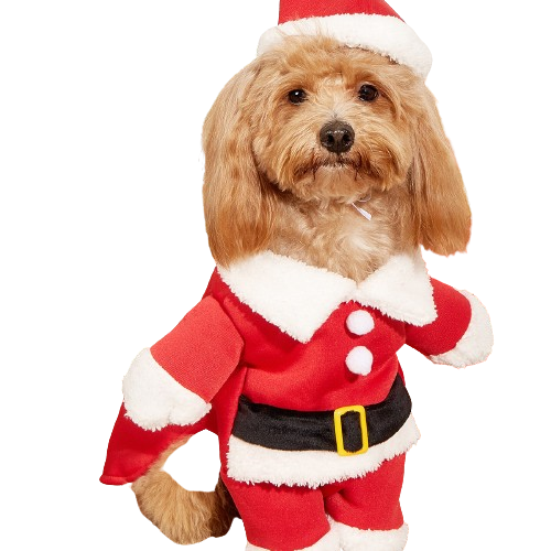 Small Pet Santa Costume