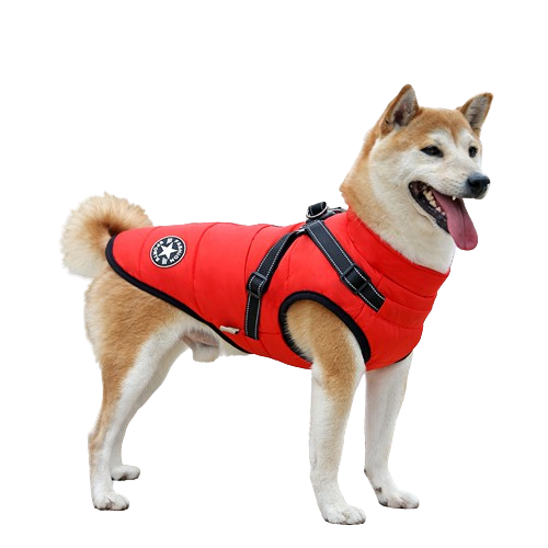 Durable Waterproof Dog Coat with Built-in Harness - Red, Blue and Black