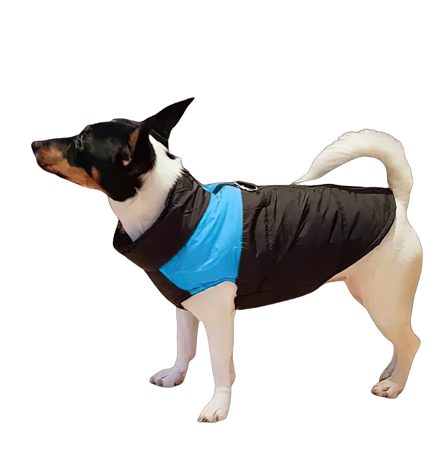 Waterproof Pet Raincoat