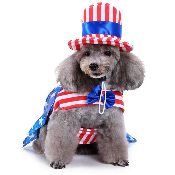 Close-up of American flag printed material on dog costume.