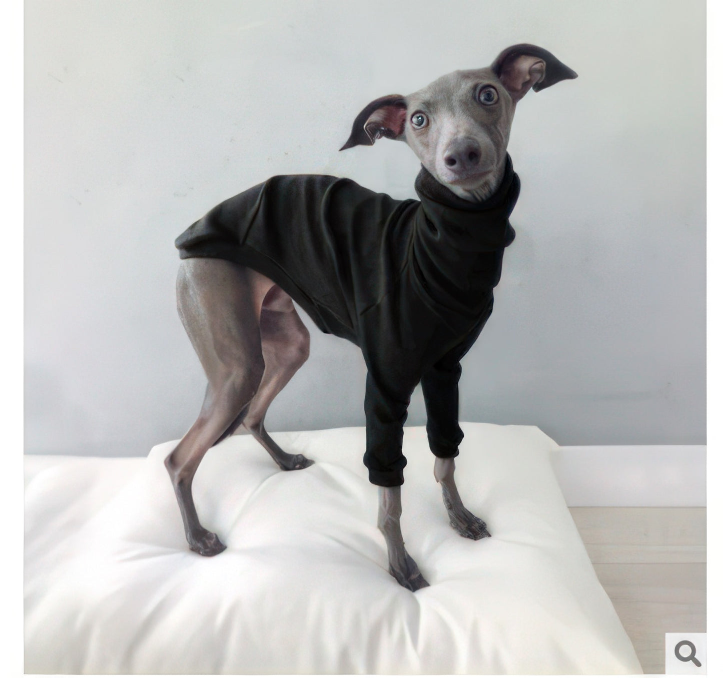 Eco-friendly high-quality turtleneck sweater for dogs in multiple colors