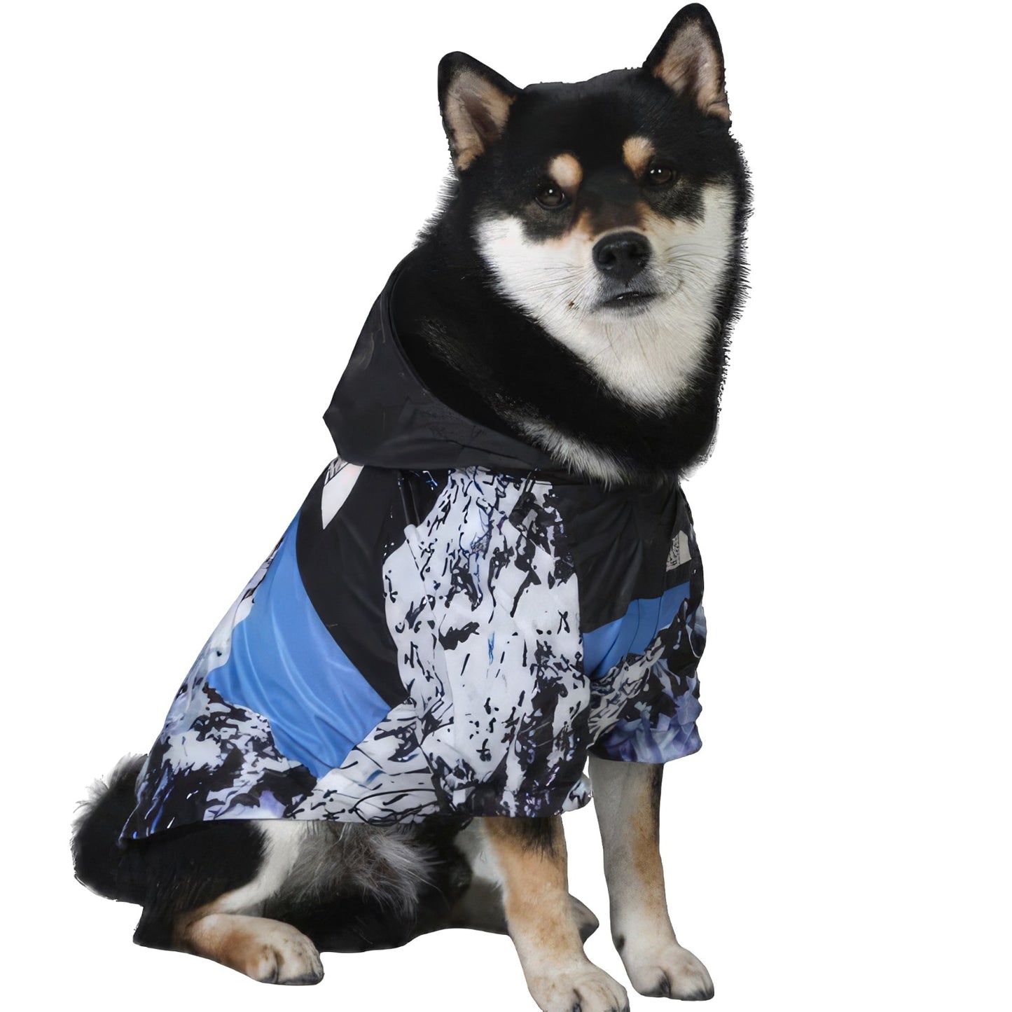 Dog Face Windbreaker Jacket Snowy Mountain