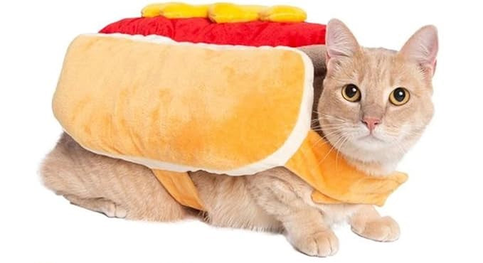 Hot dog