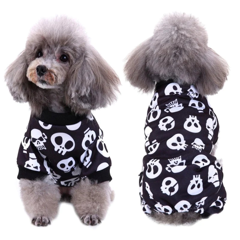 Featured pet wear from New York collection