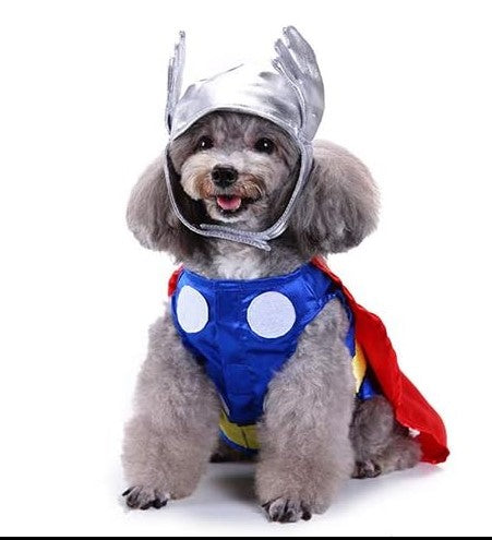 DC Comics official pet outfit