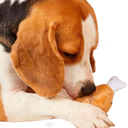 Premium Turkey Leg Squeaky Dog Toy