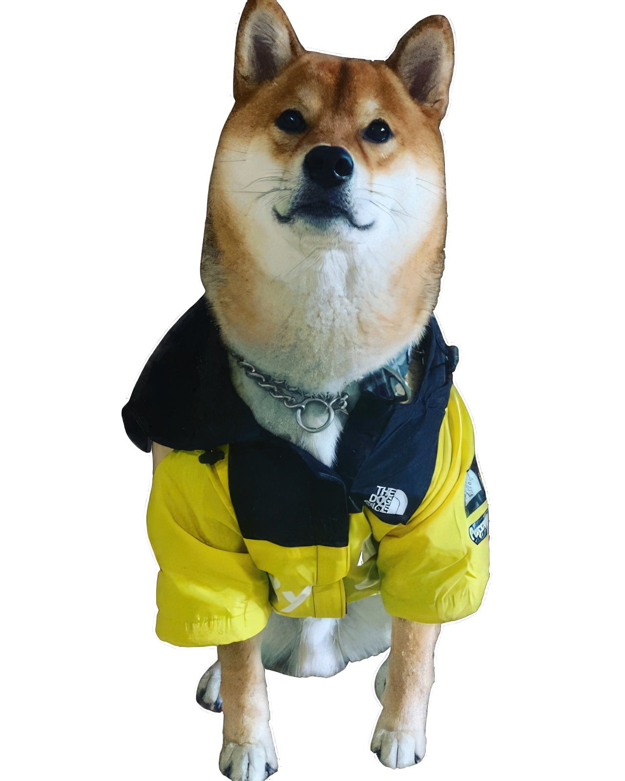 Dog Face Windbreaker Jacket