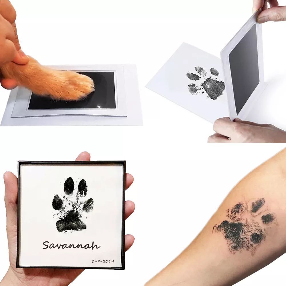 Paw Print Kit