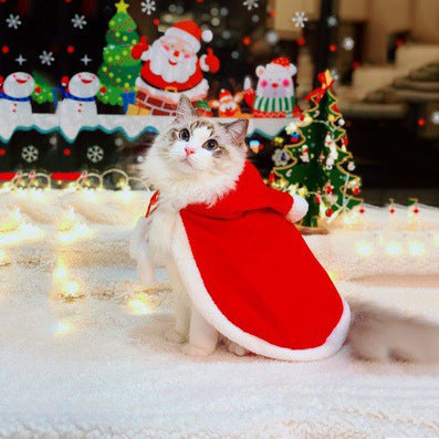 Festive Santa Cape