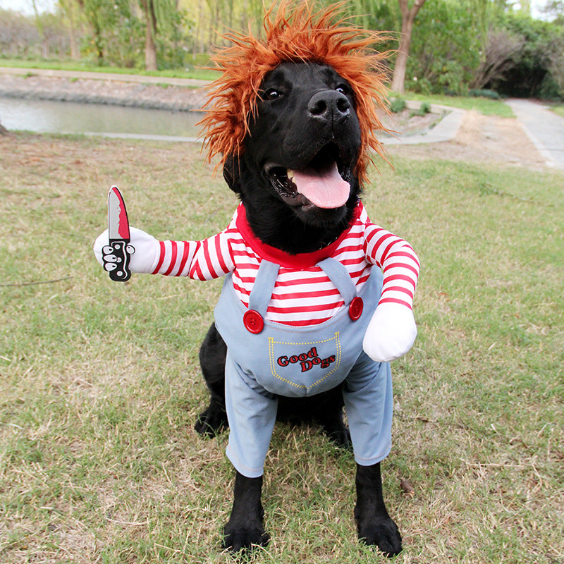 Pet's ferocious Halloween look with costume and wig