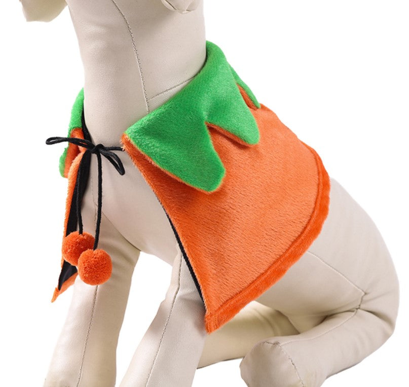 Halloween pet costume with cute pumpkin design