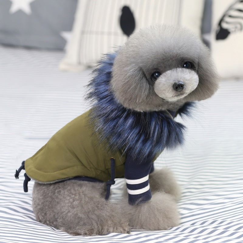 Luxurious Dog Jacket in Army Green Blue Collar