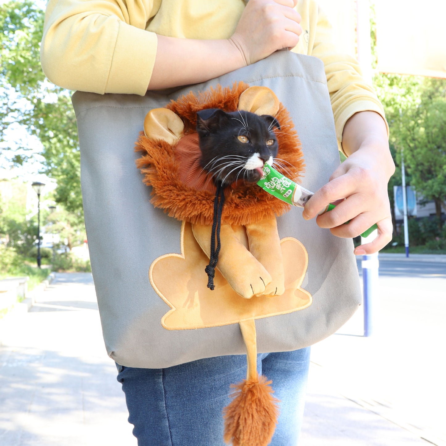 Lion-Shaped Tote Pet CarryBag