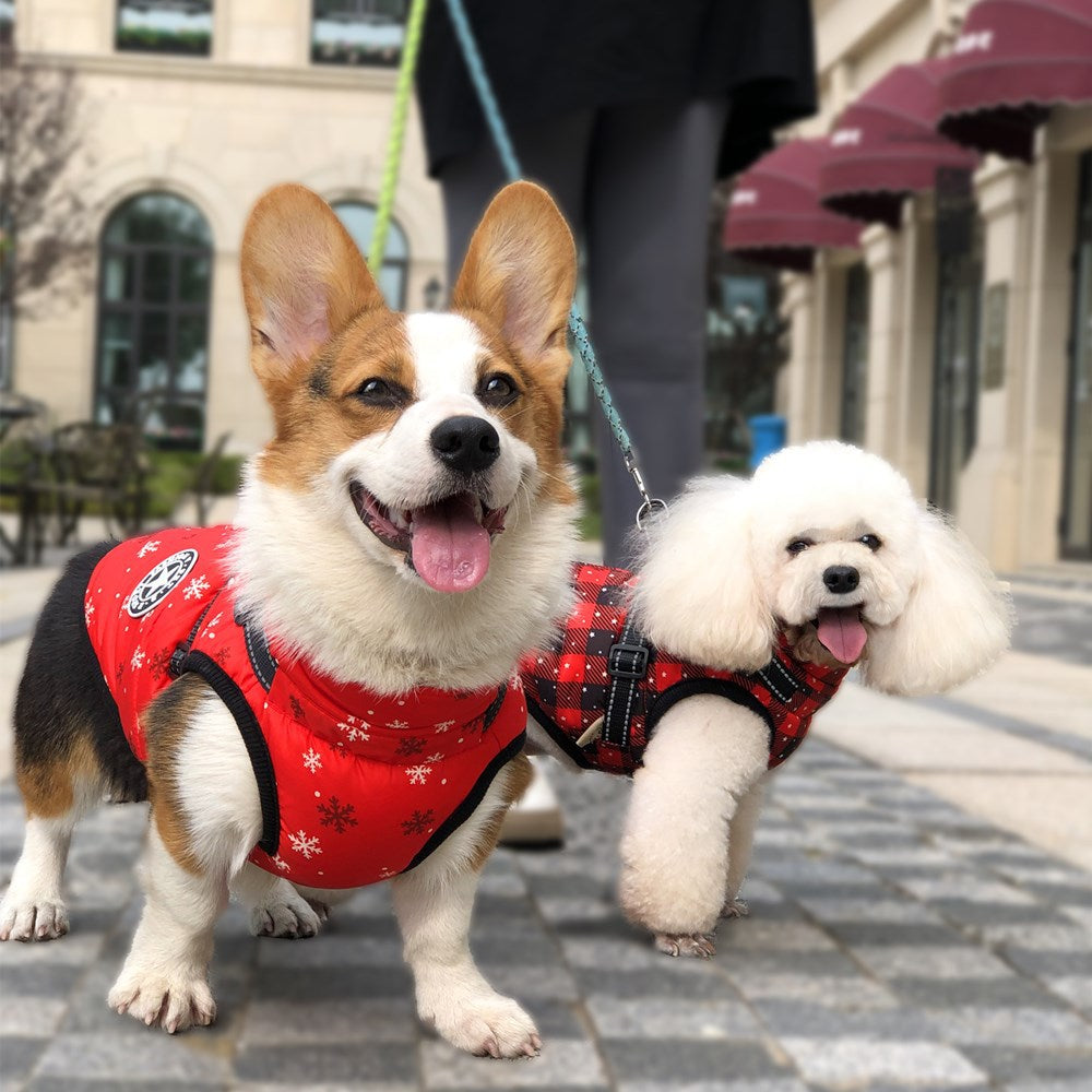 Durable Waterproof Dog Coat with Built-in Harness - Snowflake