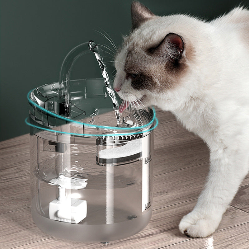 Best Smart Cat Water Fountain