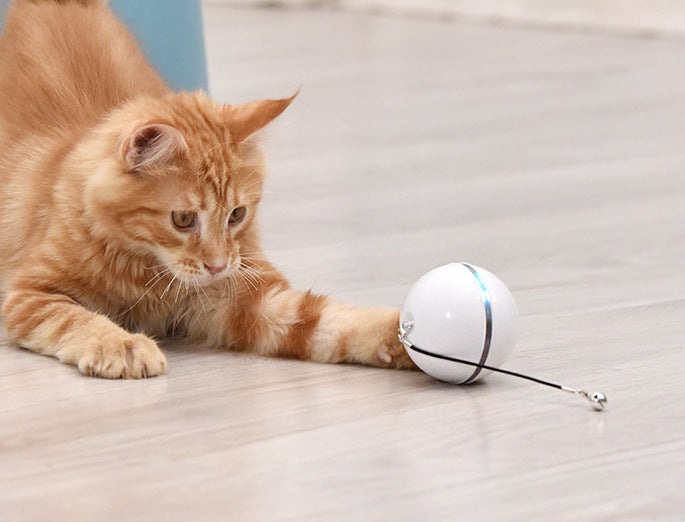 Interactive Cat Toy